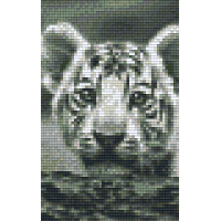 Tiger 32108
